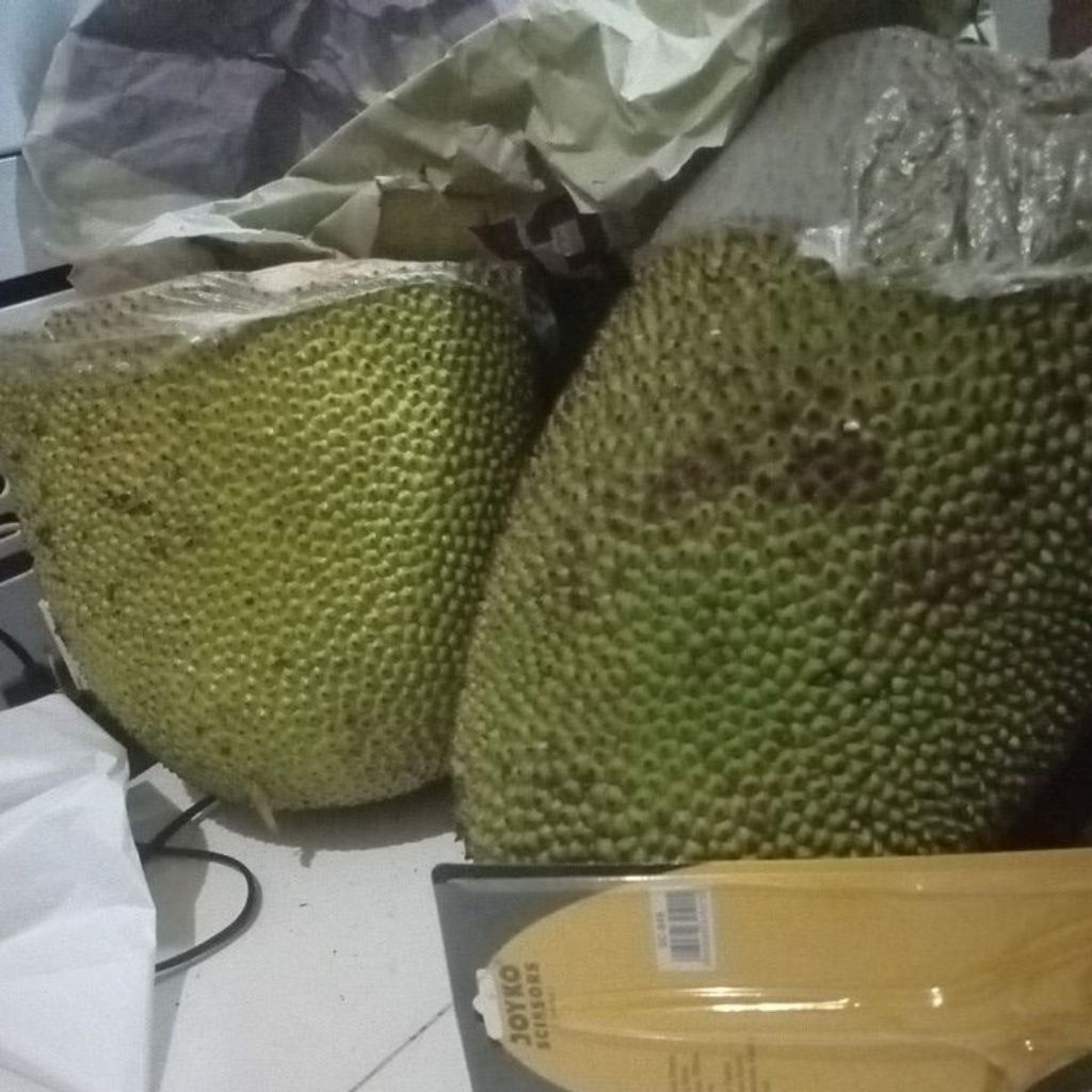 Nangka Utuh Nangka Bulat Matang sd 15Kg