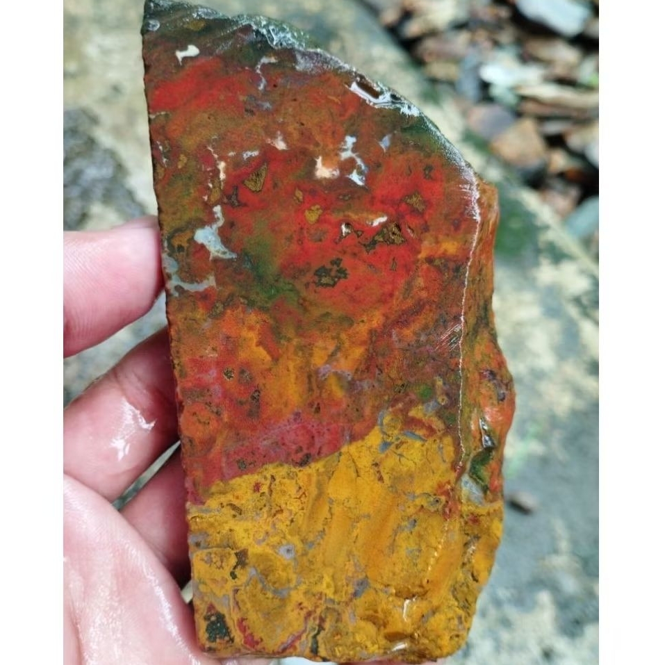 suiseki batu alam bahan batu akik lempengan panca warna multi istimewa natural sesuai gambar asli kl