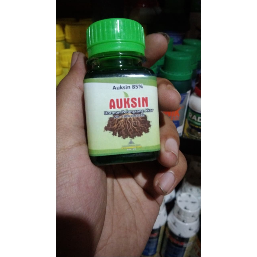 Auksin 85%