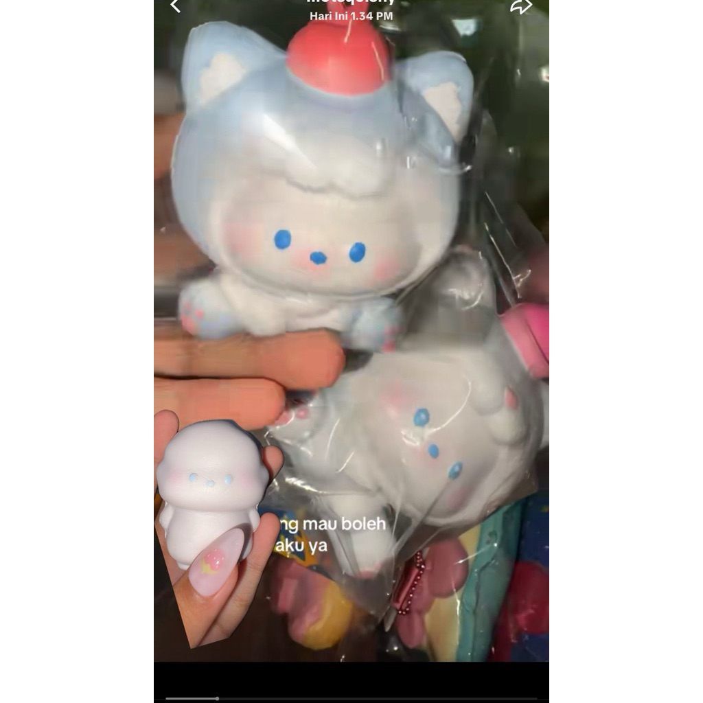 squishy puchi ibloom take all