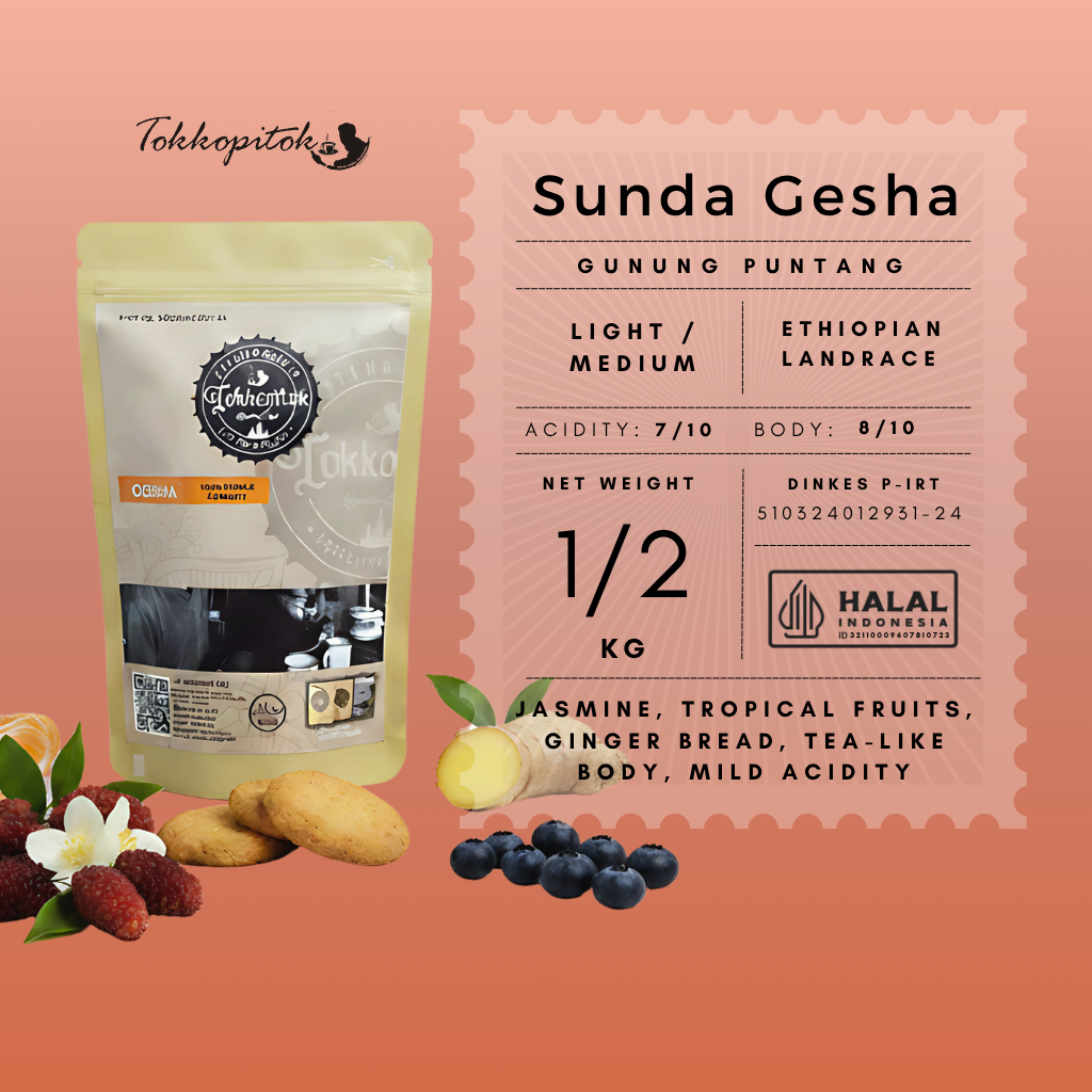 Tokkopitok 500 gram Roasted Bean kopi Arabica Geisha puntang