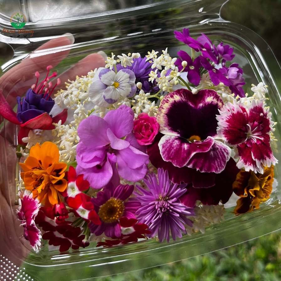 Akar Wangi Edible FLower Mix Premium Fresh Segar Bunga Bisa Dimakan Hiasan Kue Garnish Dessert Cake 