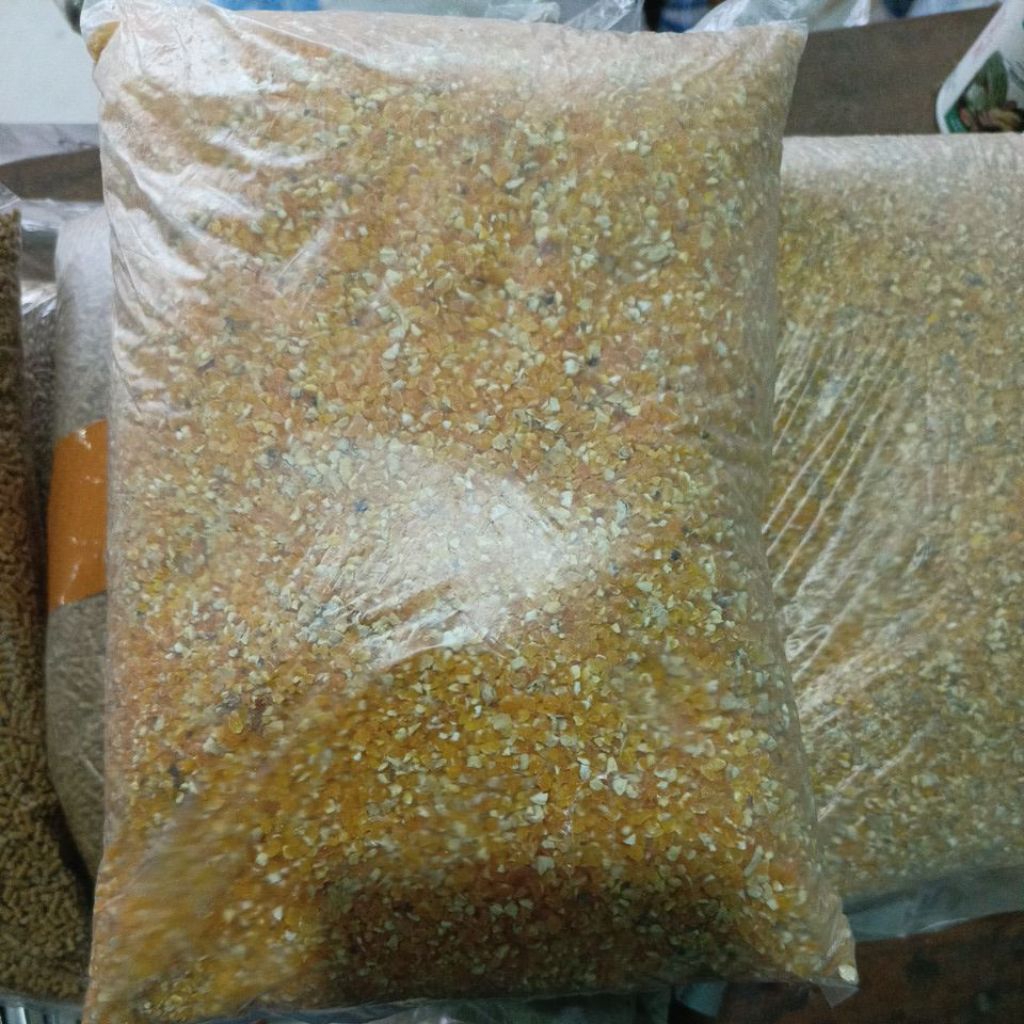 JAGUNG MENIR JAGUNG GILING BERAS JAGUNG