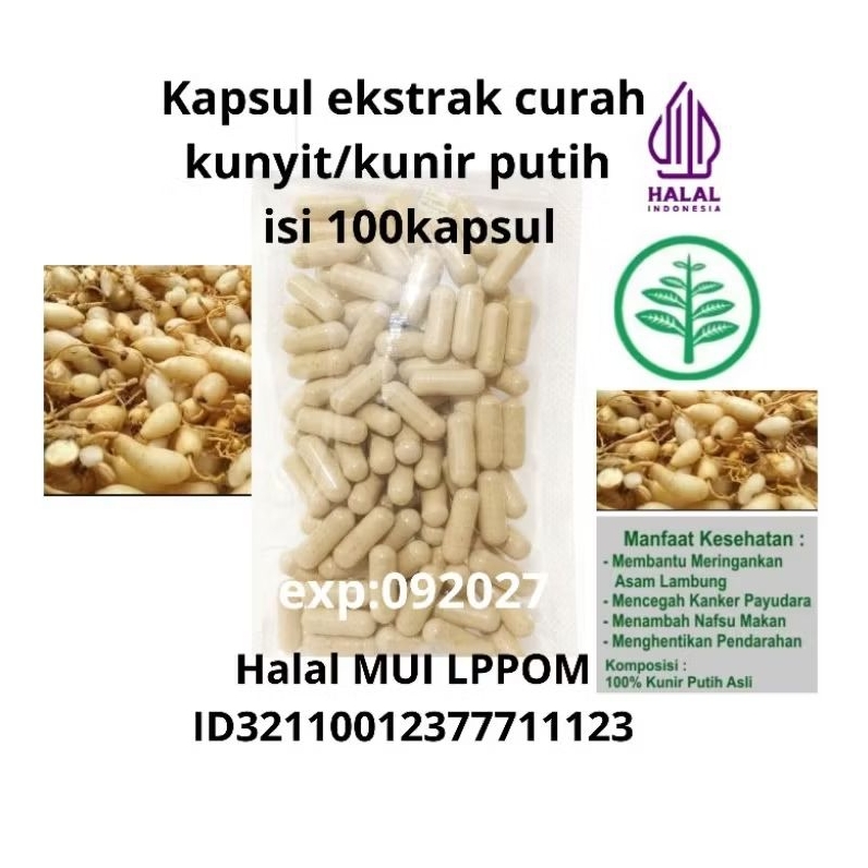 KAPSUL BUBUK EXTRAK CURAH KUNYIT PUTIH ISI 100