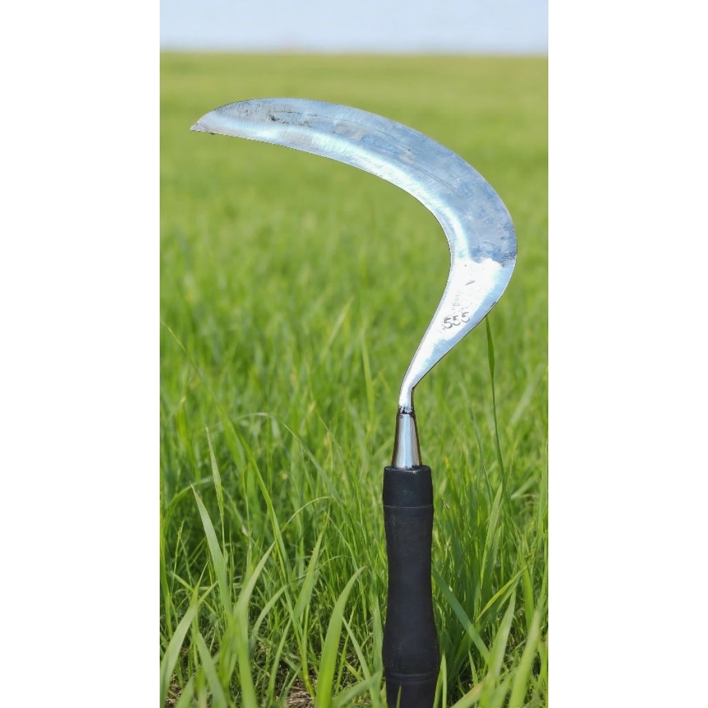 arit rumput baja isen