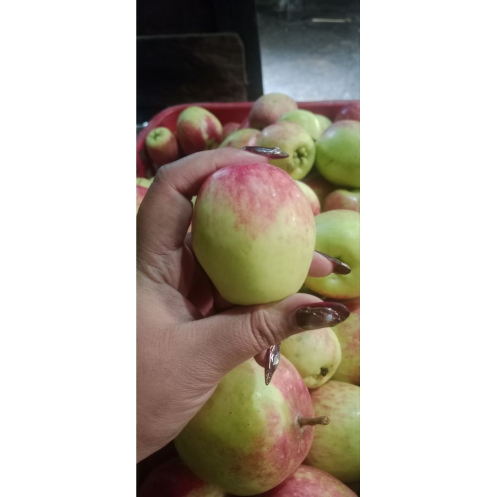 apel anna mini 1kg fresh dari kebun apel