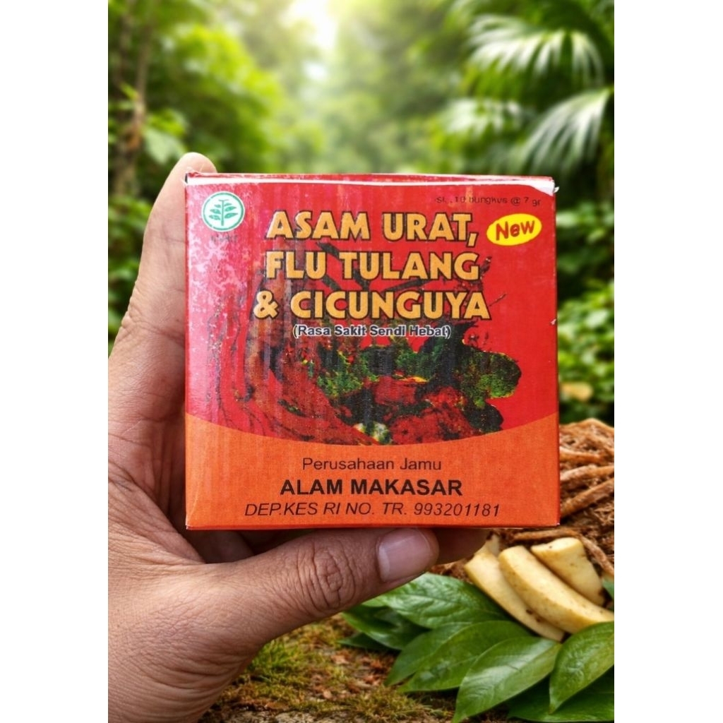 ALAM MAKASAR.flu tulang,asam urat dan cincungnya