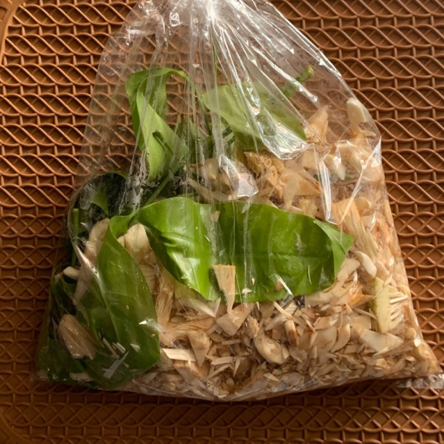 {Fresh} Gori Nangka Muda