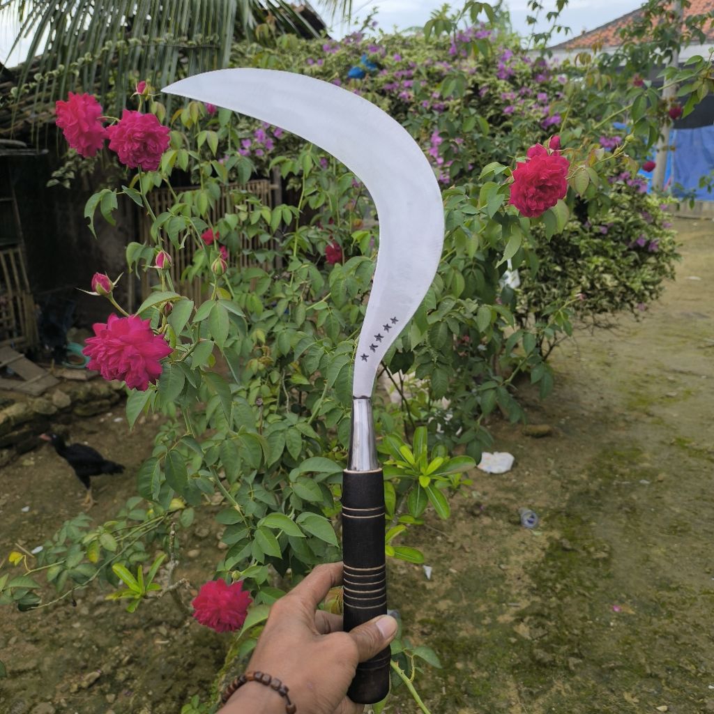 Alat Kebun Bintang 5 Arit Baja Murni Madura Super Tajam