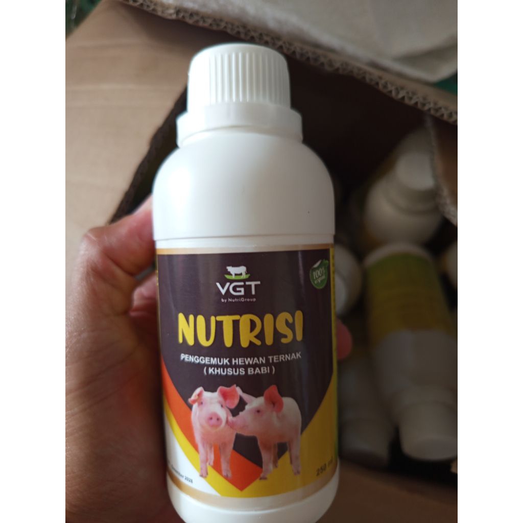 VGT Nutrisi Ternak Babi Probiotik Vitamin Organik Aman untuk Indukan Hamil