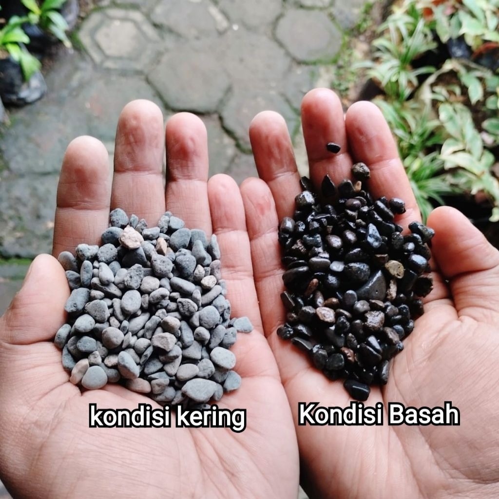 BATU HIAS ARES HITAM 5 KG