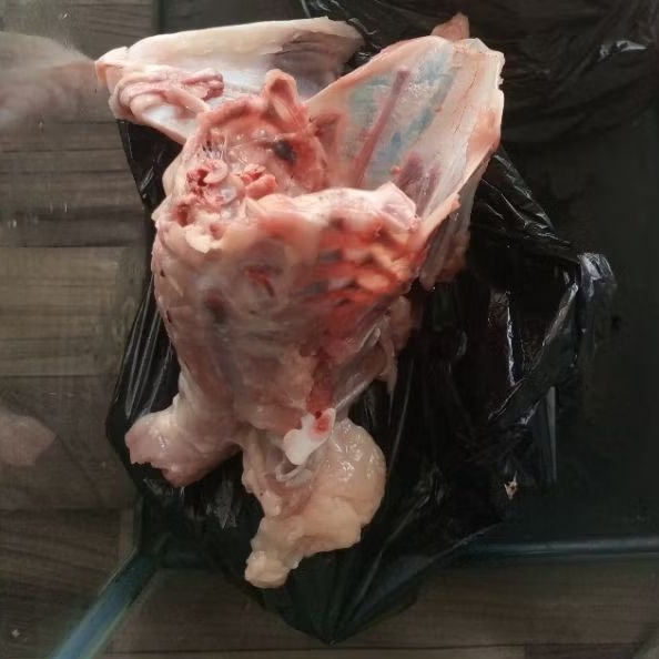 Tulang dada ayam 1 kg  khusus bandung fresh halal /instant