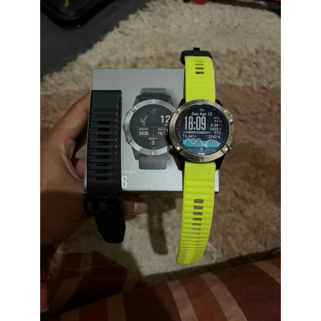 Garmin Fenix 6 Basic