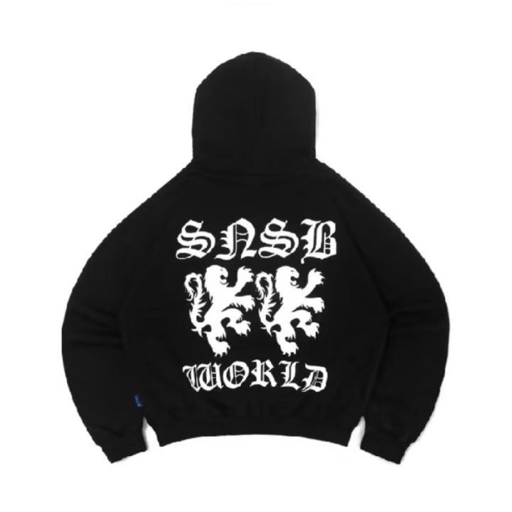 HD SNSB FAUL