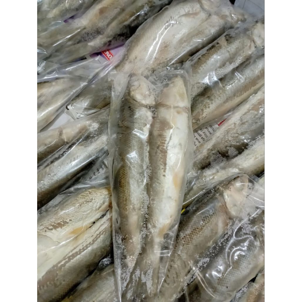 Otak-Otak ikan bandeng isi 2