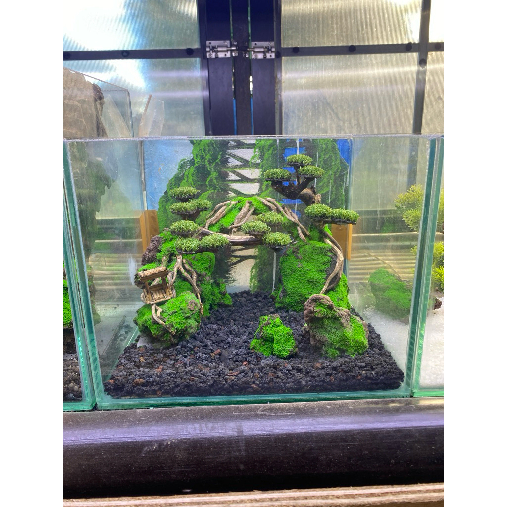 aquascape tema bonsai size 25x20x20 cm fullset siap pandang