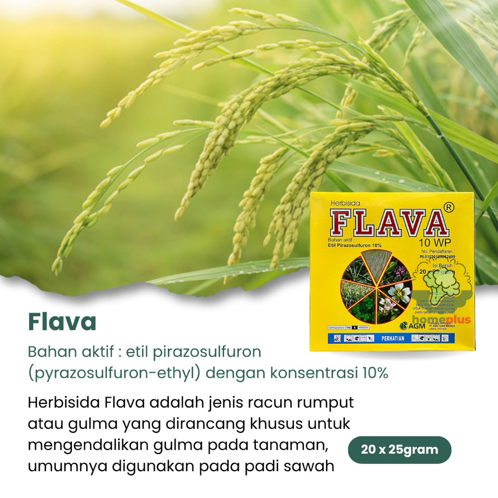 (20pcs) Flava 10WP Herbisida Sistemik Pra-Tumbuh, Mengendalikan Gulma Daun Lebar Dan Sempit Pada Tan