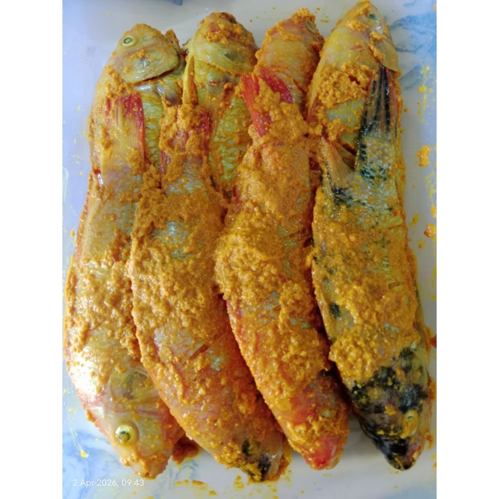 Ikan Nila Bumbu Kuning Siap Goreng