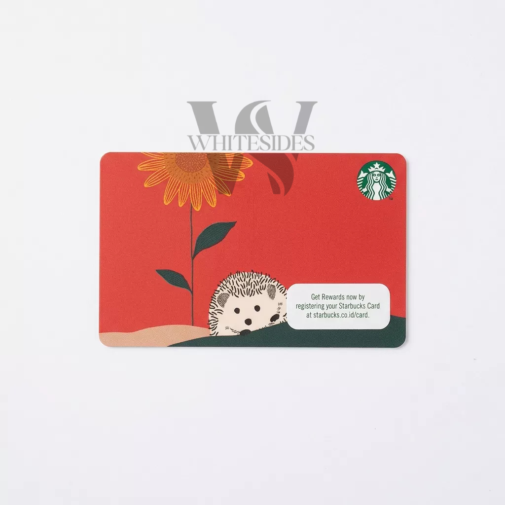 Red Hedgehog - Starbucks Whole Bean 250gr gram VIA Instant 12 Sticks 3 Stick Teavana Bags Bag Cards 