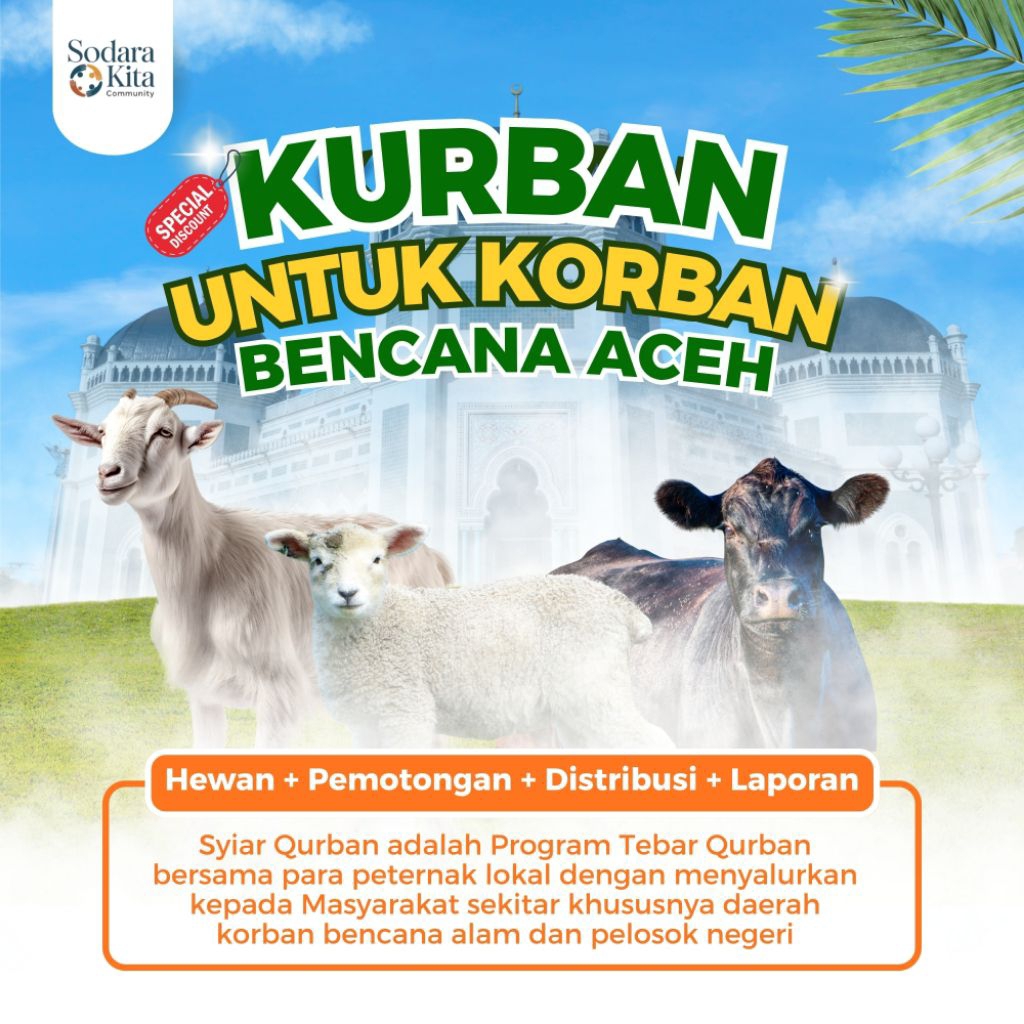 Tebar kambing domba kurban pelosok