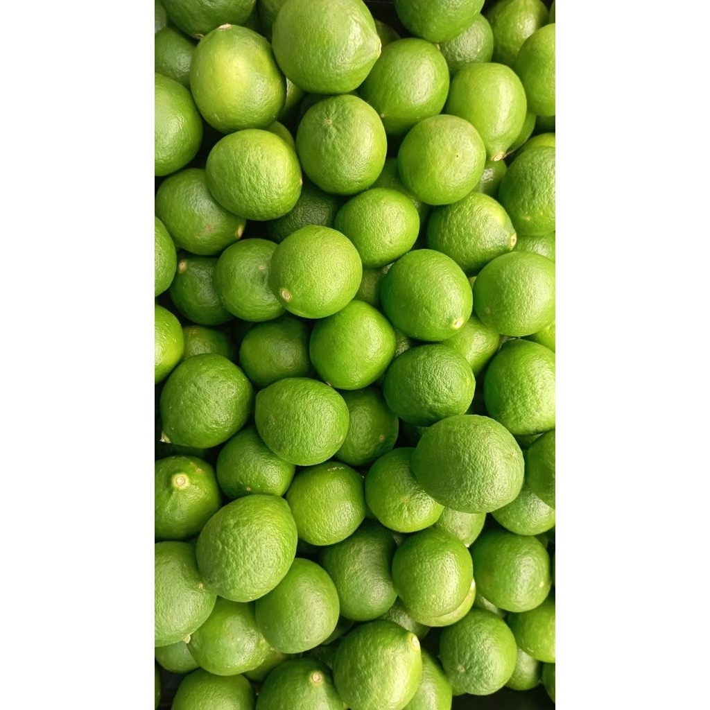 [PREMIUM] Jeruk Lemon California Lokal 1Kg Lemon Hijau Fresh