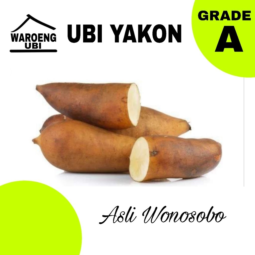 UBI YAKON/UMBI YAKON KUALITAS SUPER DIJAMIN MANIS LANGSUNG DARI PETANI