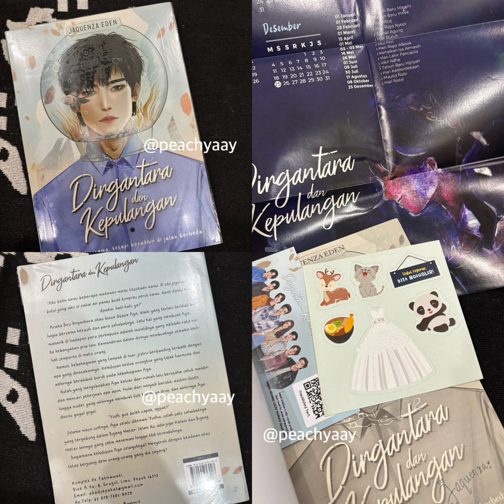 wts preloved novel dirgantara dan kepulangan 100% ori