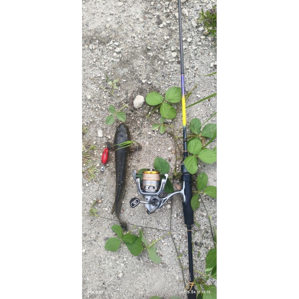 ryobi anesta 1000 hp sw bekas second