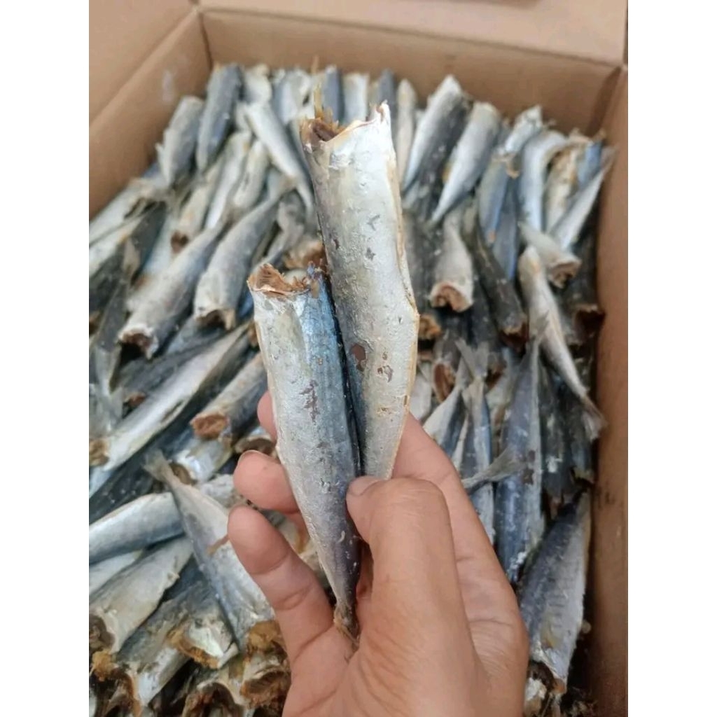 ikan asin rebus lampung