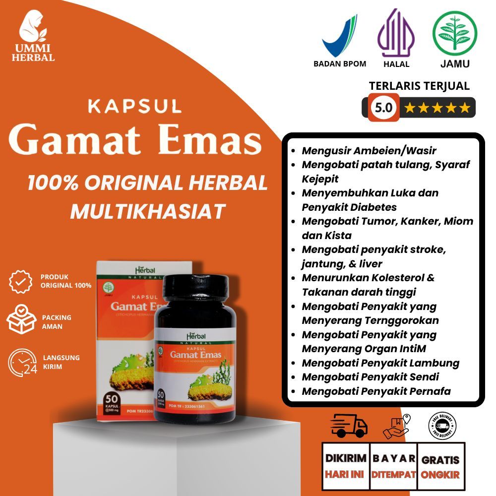 Kapsul Gamat Emas - Obat Patah Tulang Tangan Kaki Paha Bahu Obat Tulang Bergeser Tulang Retak Tulang