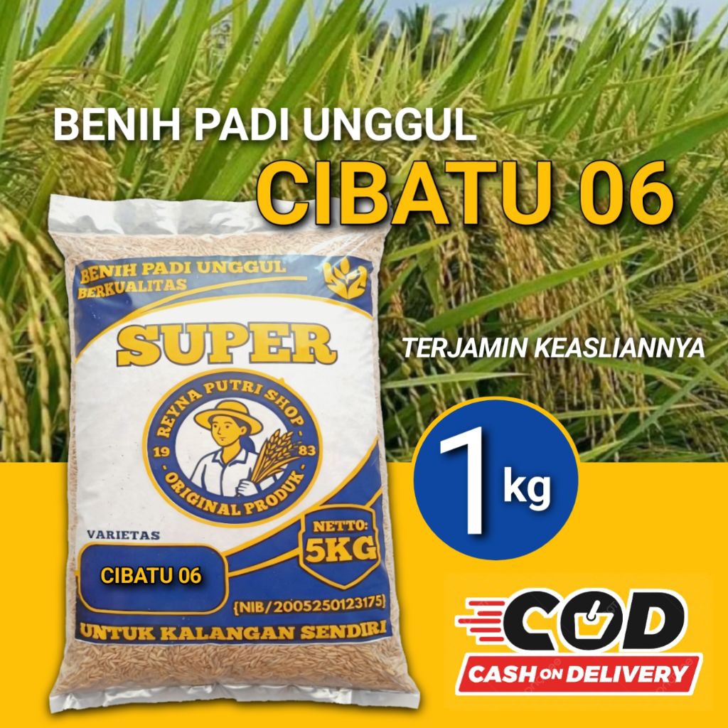 benih padi cibatu 06 berkualitas 1kg