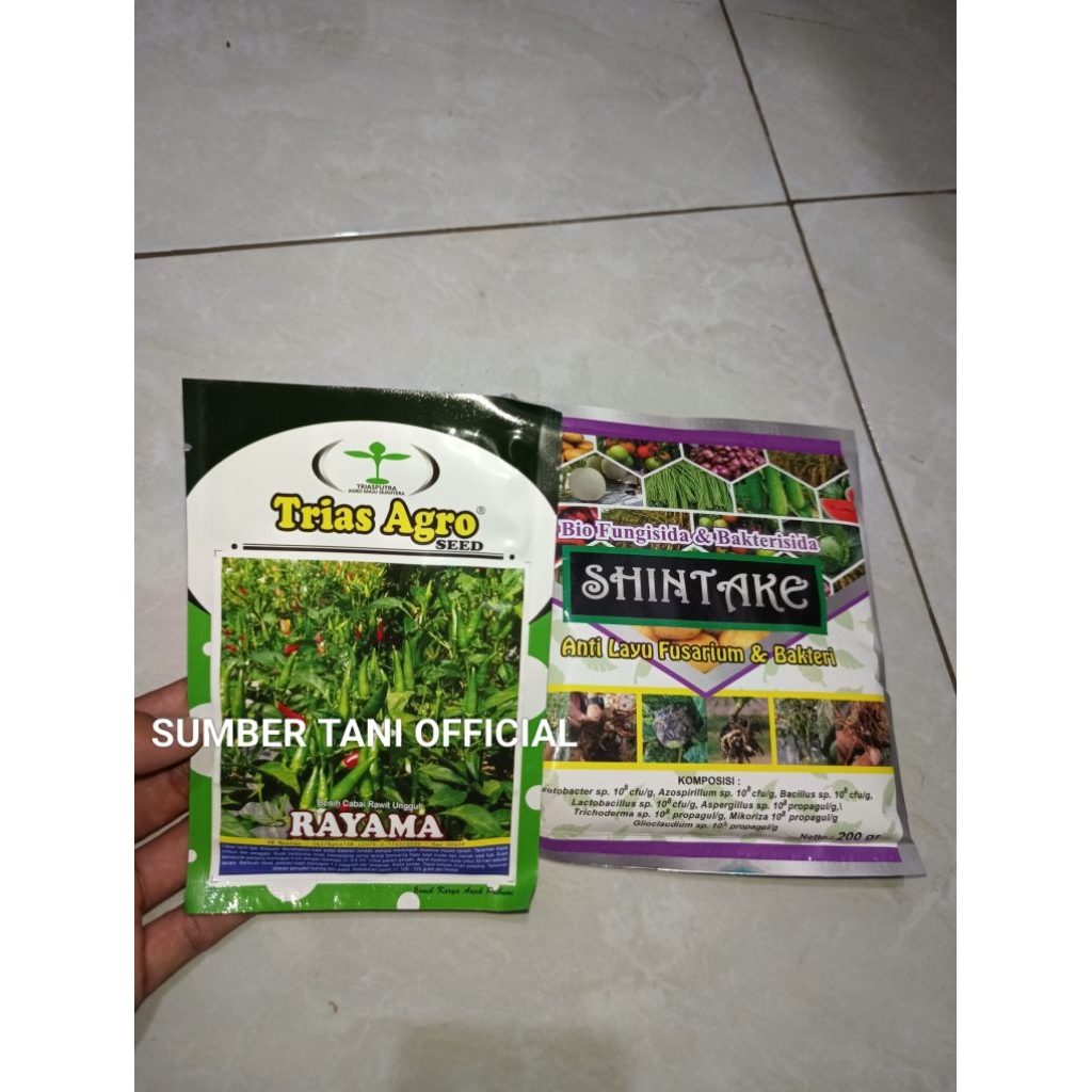 Benih Bibit Cabai Rawit Hijau Rayama F1, Tipe Cabai Pelita 8 (Umur Genjah Pendek dan Panen melimpah)