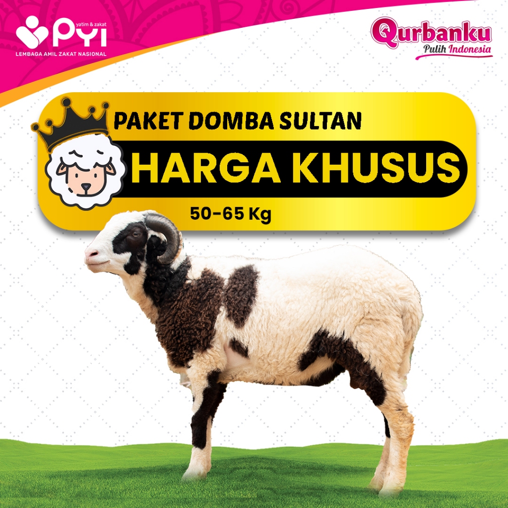Qurban 2026/1447 H - Qurban Domba Sultan vol.1  Domba Jantan Berat 50-55 KG Harga Promo Harga Qurban