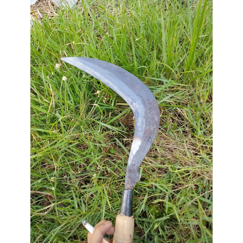 sabit rumput wonosobo cocok untuk bertani annda
