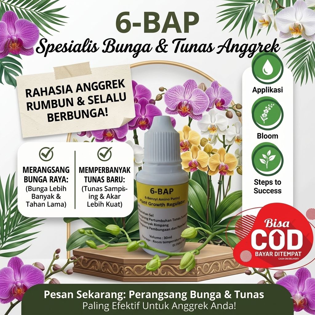 "PROMO HORMON ANGGREK 6BAP" (Perangsang Tunas & Pembungaan Anggrek)