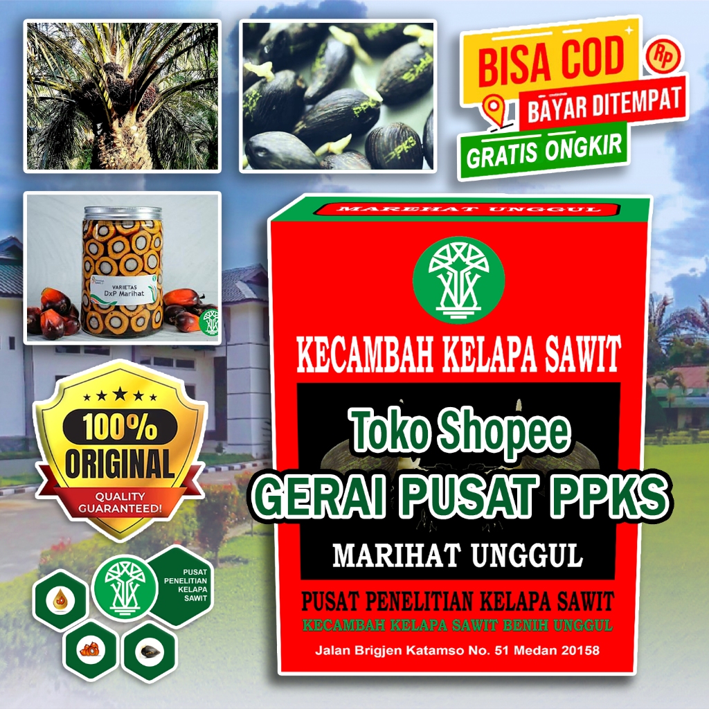BENIH PPKS DXP MARIHAT UNGGUL BESERTA SERTIFIKAT