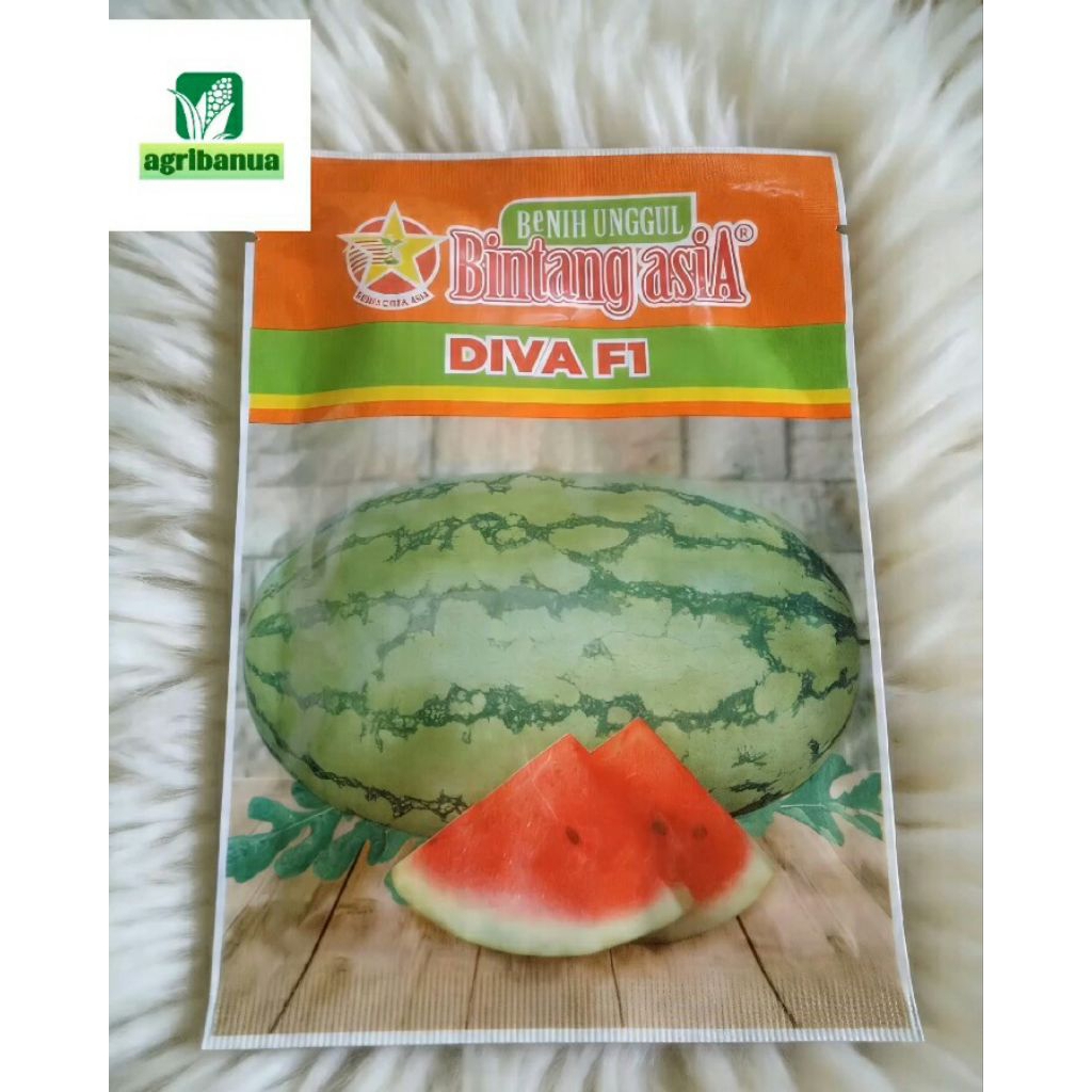 Benih Semangka Hibrida Berbiji DIVA F1 20 gram Bintang asiA