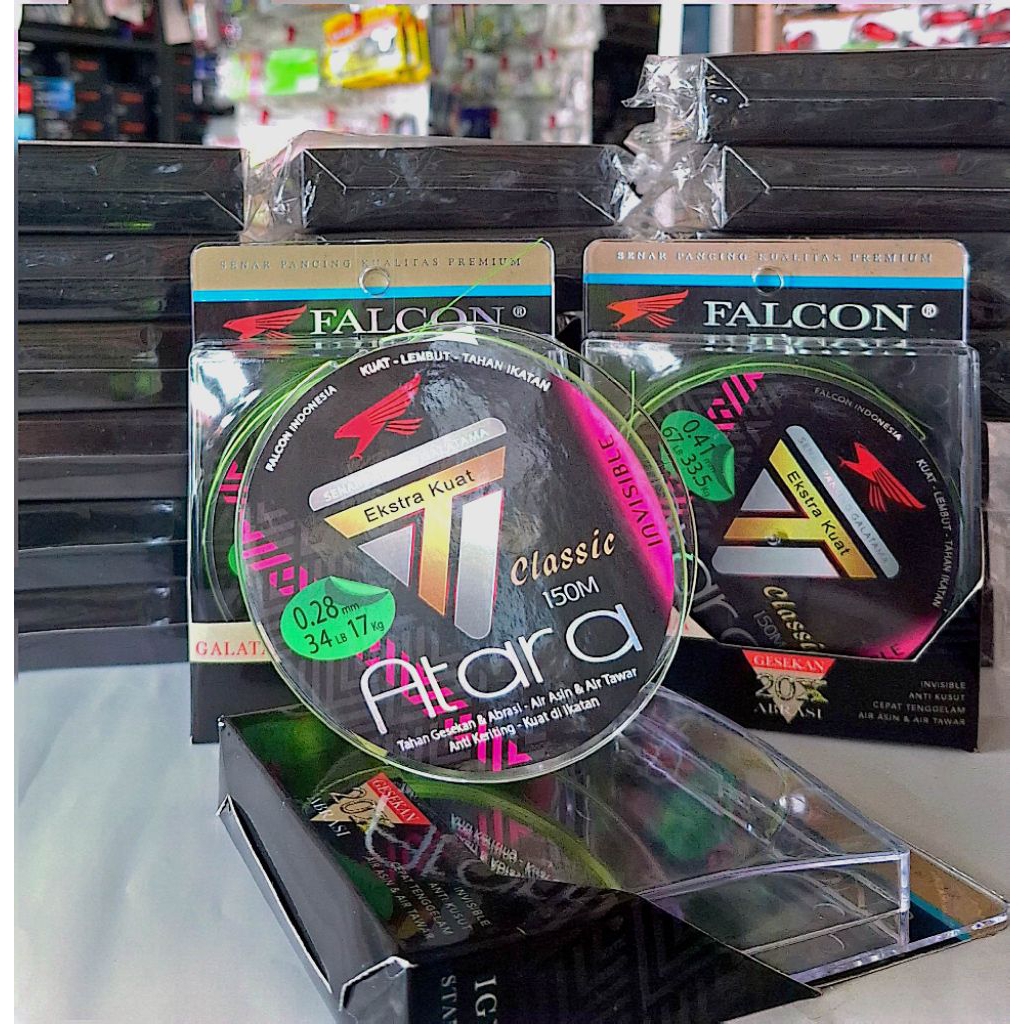 Senar Falcon Atara.