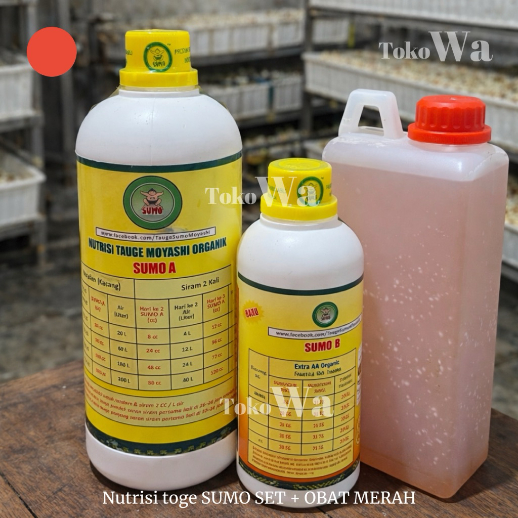 Nutrisi toge sumo set + obat merah paket obat toge