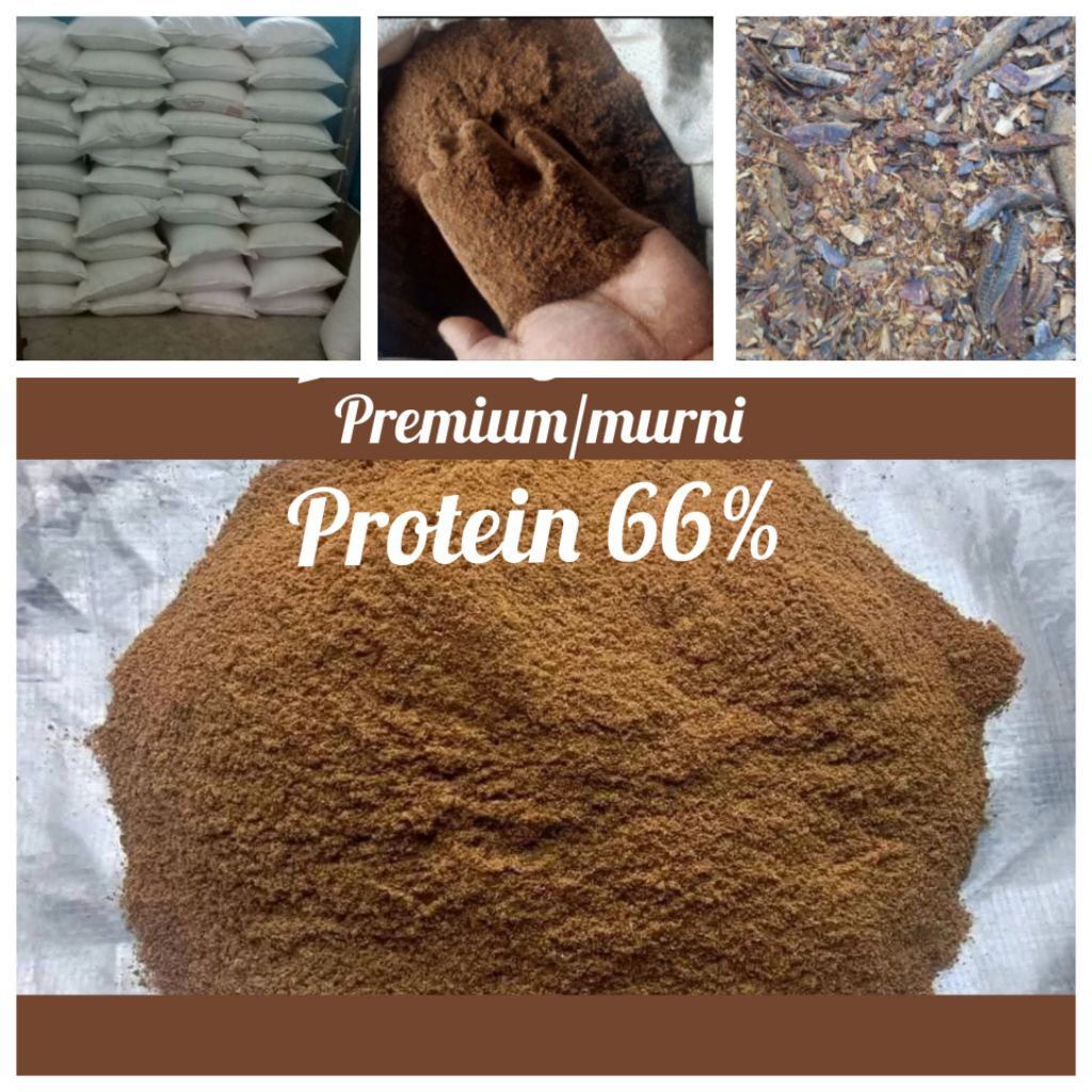 tepung ikan murni