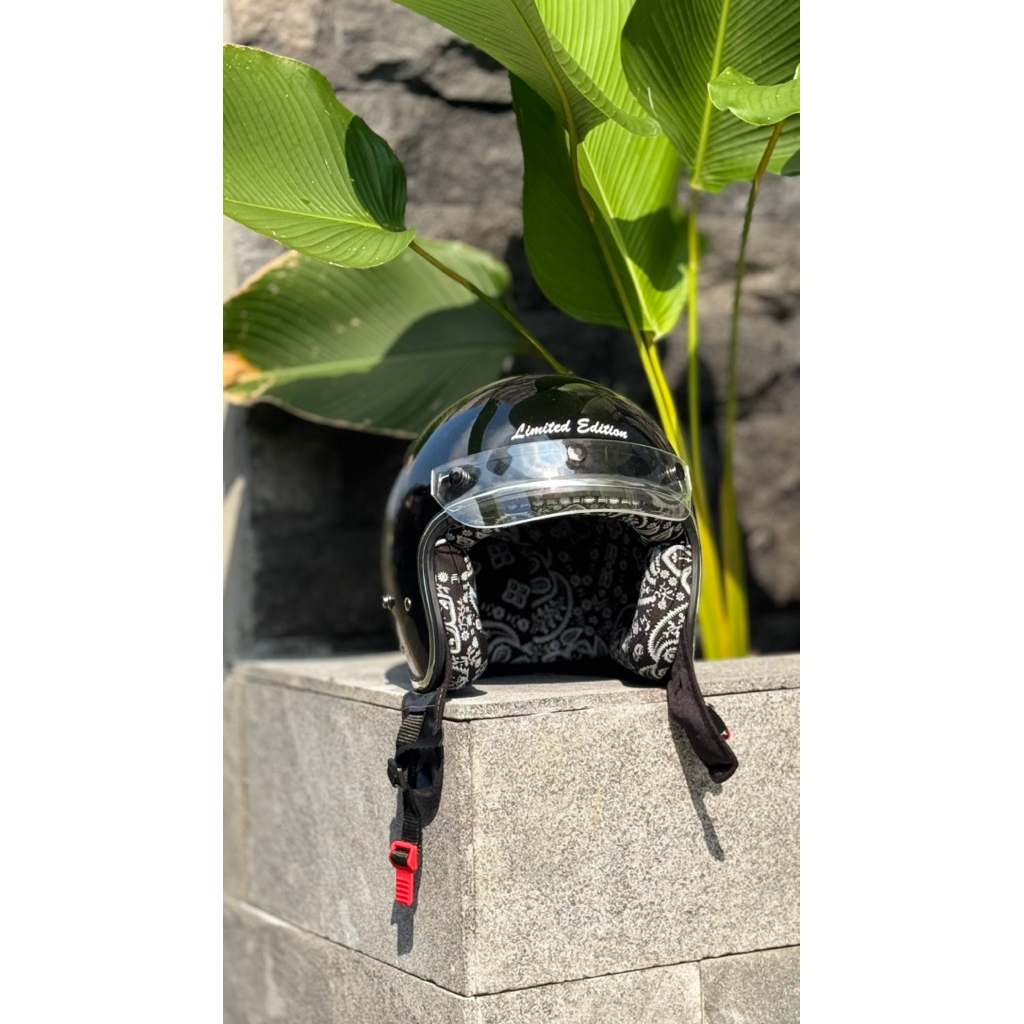 Helm Bogo Busa Slayer + Aksesoris