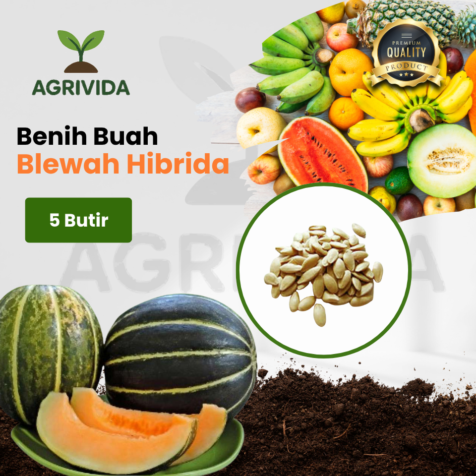 Benih Buah Blewah Hibrida isi 5 Butir Benih tanaman buah berkualitas