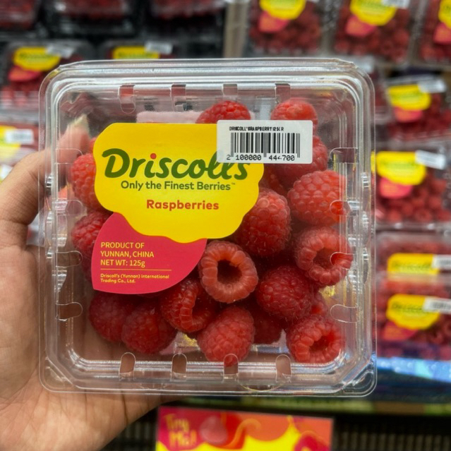 Buah raspberry Driscol Fresh / Buah Raspbery Import / Pack
