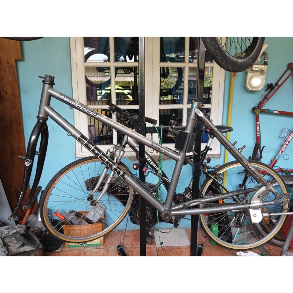 frame federal lady 26 wild cat