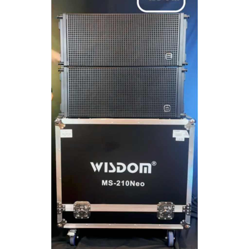 (JUAL 1 HARDCASE ISI 2 BUAH) Wisdom MS-210NEO / MS 210 Neo - Speaker Line Array 10 Inch Speaker dengan Hardcase Wisdom