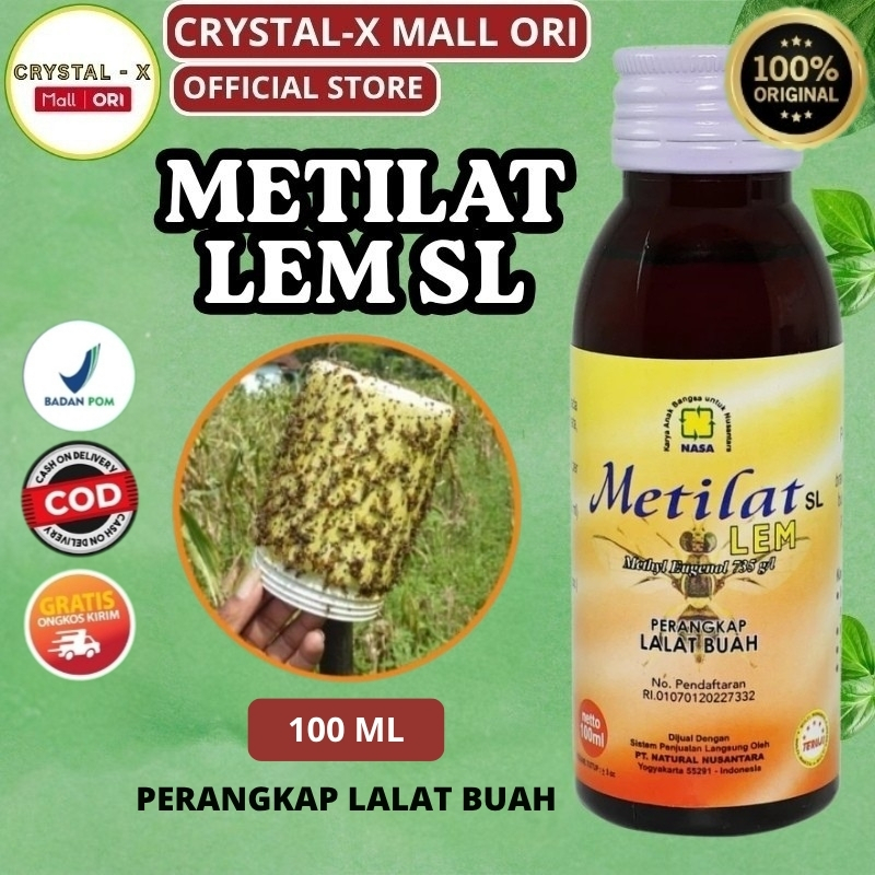 Metilat Plus Perangkap Lalat Buah Lem Lalat Buah Pengendali Hama Tanaman