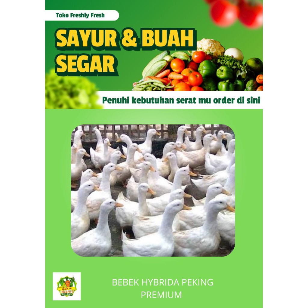 BEBEK HYBRIDA PEKING HIDUP LANGSUNG POTONG TERIMA BERSIH PREMIUM