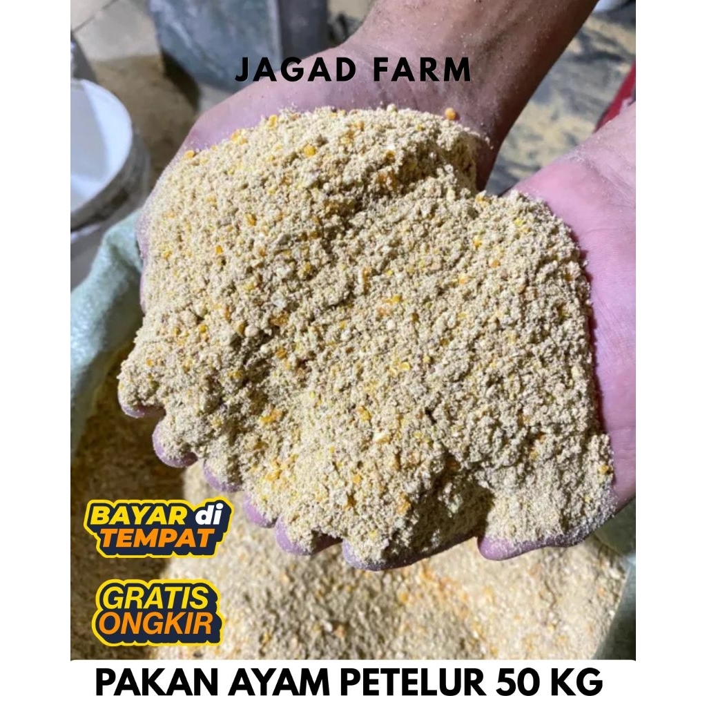 PAKAN AYAM PETELUR 50 KG PAKAN JADI TERNAK AYAM PETELUR TAKARAN SUDAH SESUAI