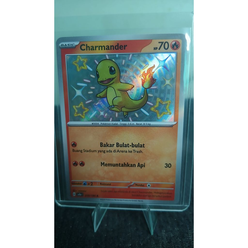 charmander baby shiny indo pokemon tcg