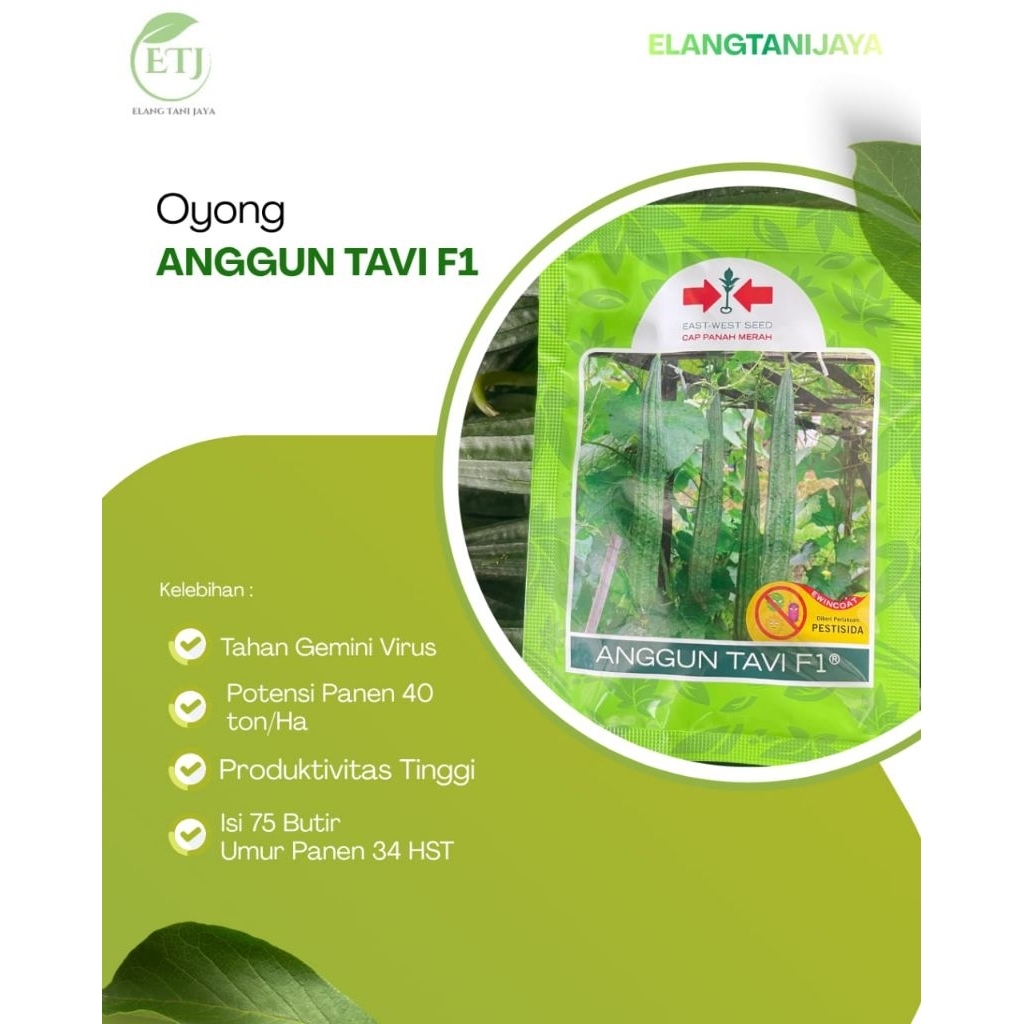 Benih Oyong ANGGUN F1 75 butir/Gambas/oyong